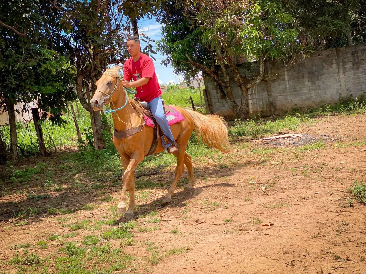 GARANHÃO QM INICIANDO NOS TRÊS TAMBORES  - Foto 2