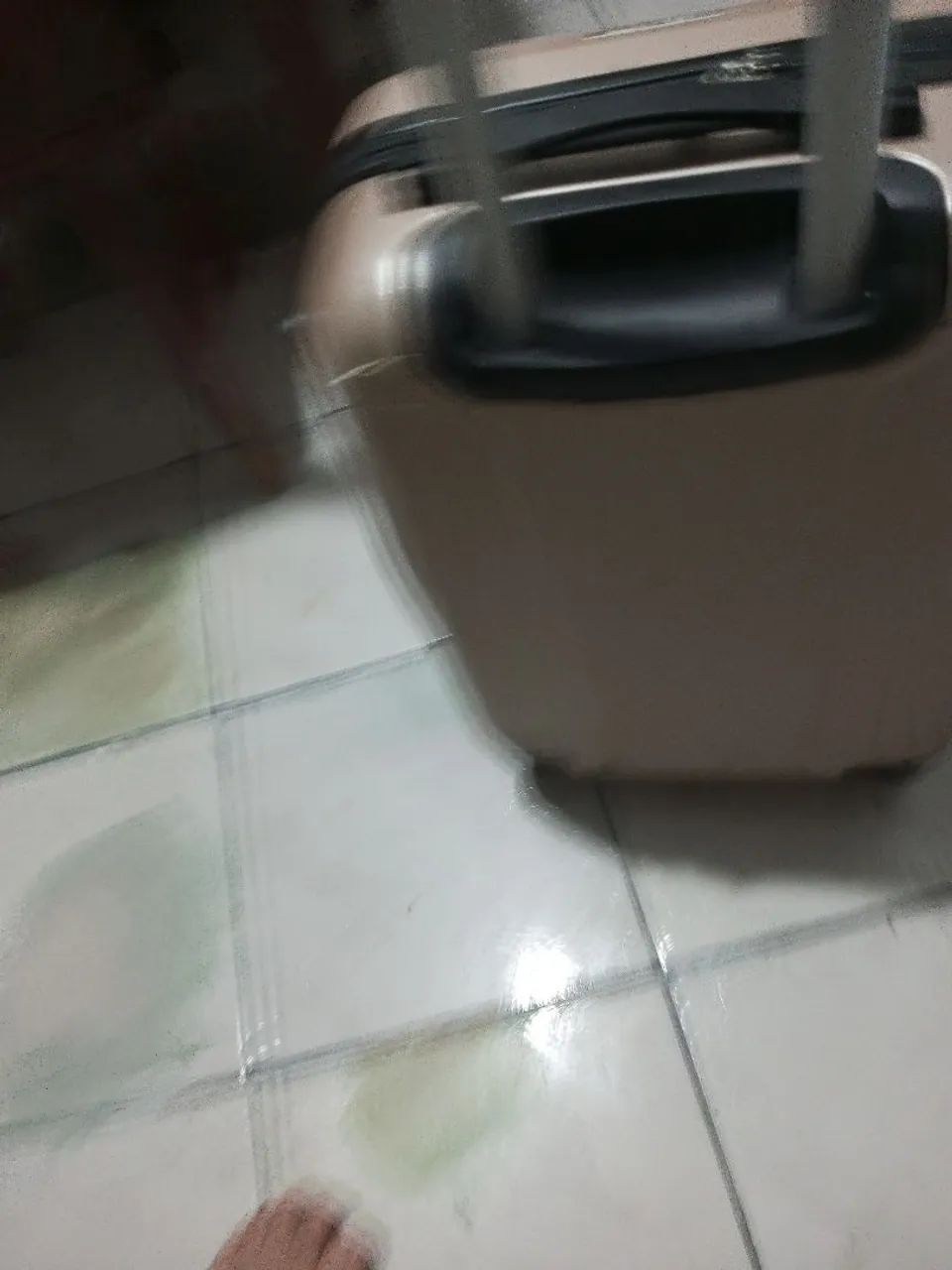 Mala pra viagem  - Foto 2