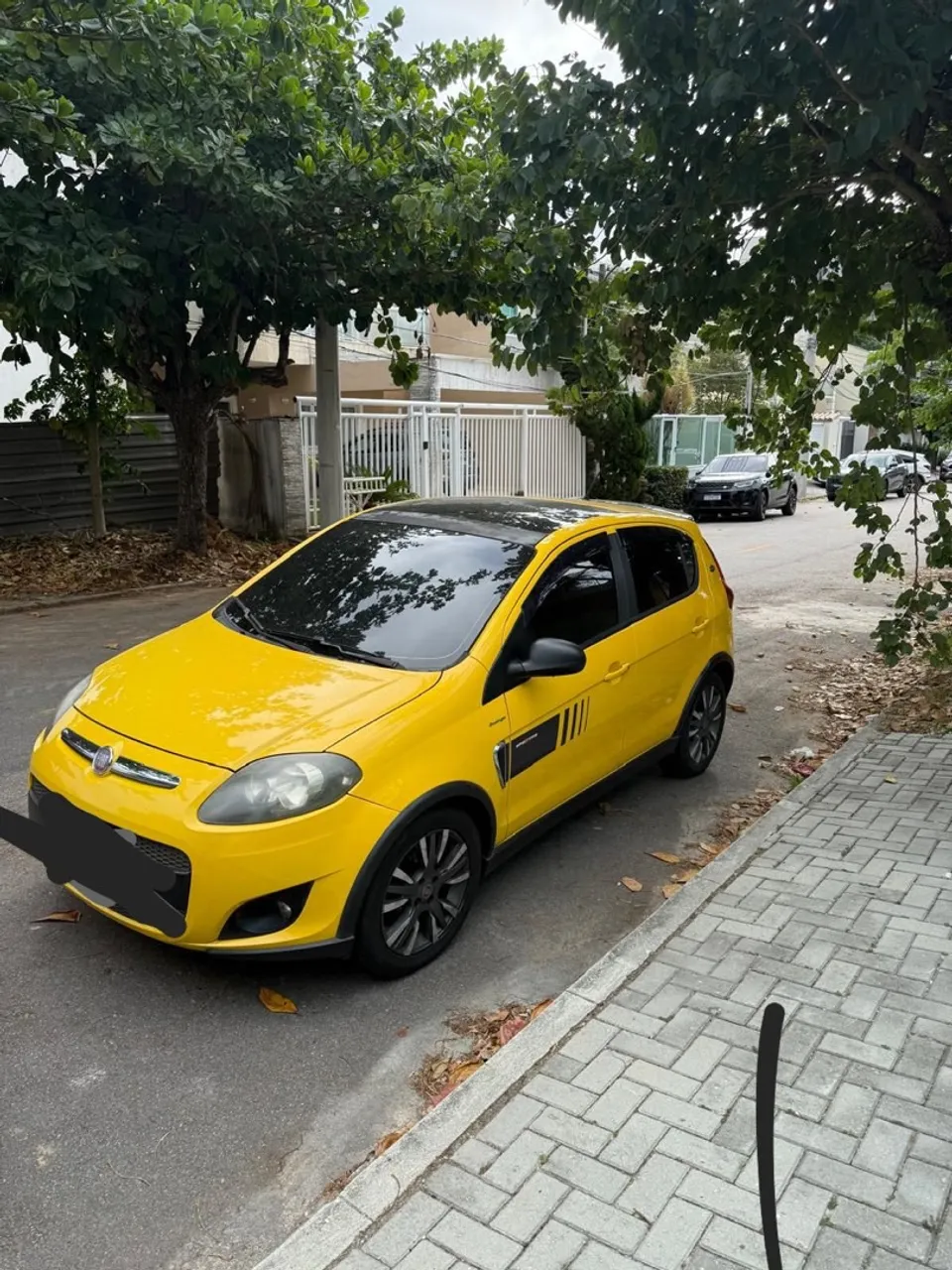 Palio Sport 2014