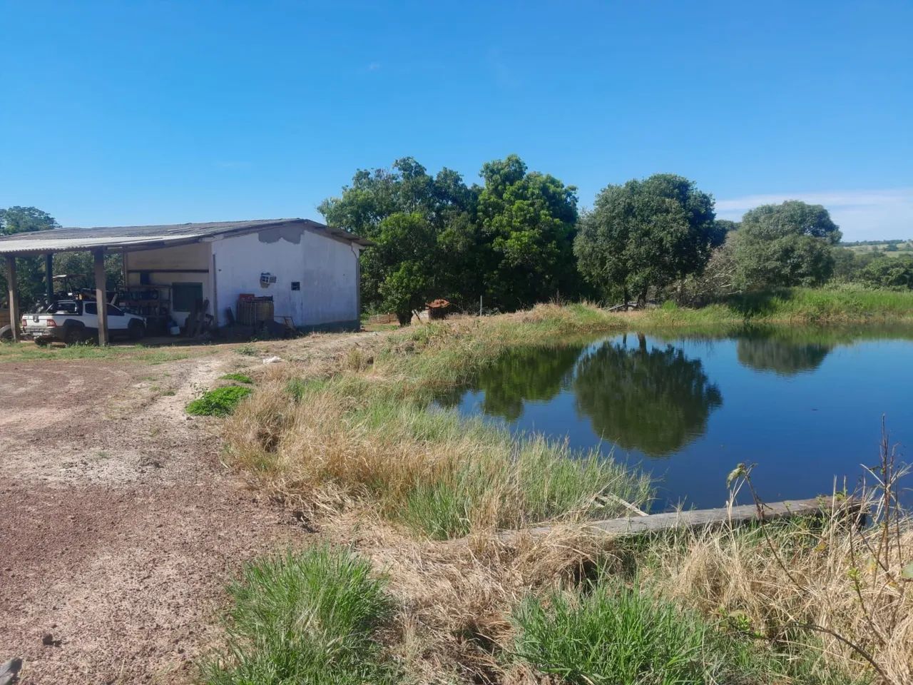 Soja milho ou pecuária  - Foto 4