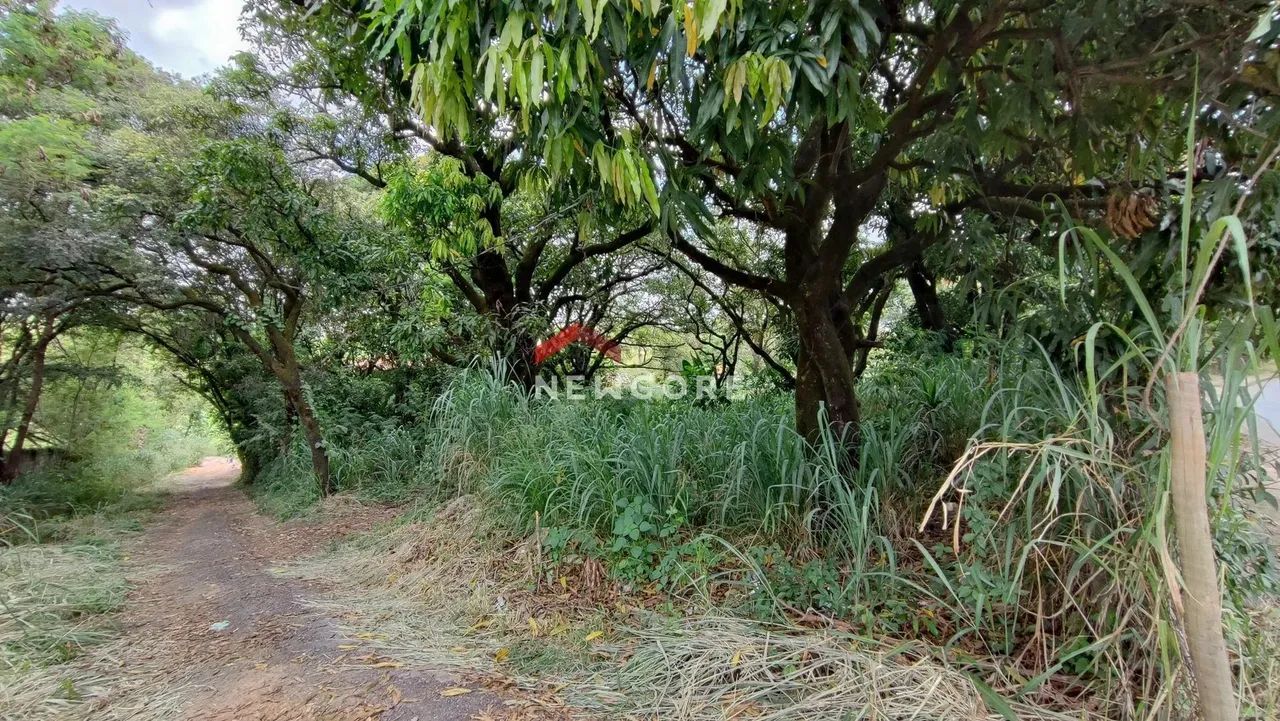 Lote em Rua José Simplício Moreira - Trevo - Belo Horizonte/MG - Foto 11