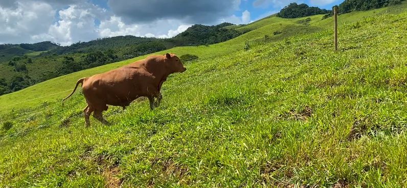 TOURO SENEPOL PO REGISTRADO WSENEPOL - Foto 3