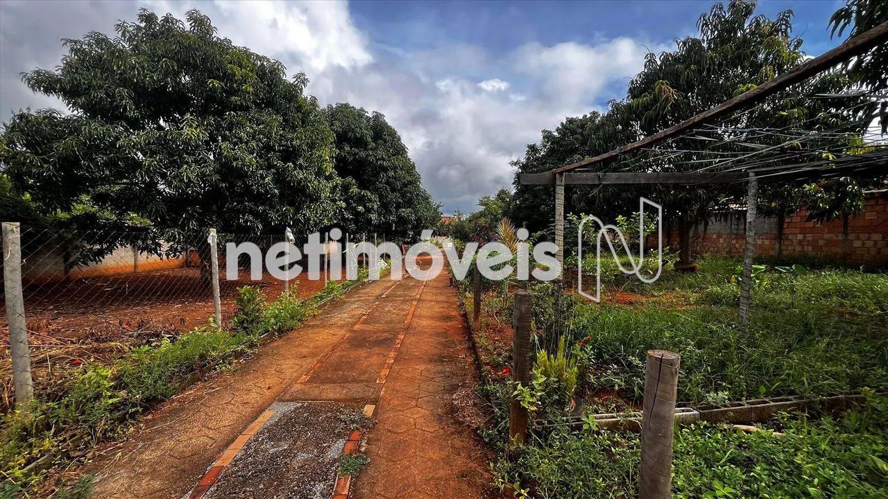 Venda Sítio Parque Buriti Caetanópolis - Foto 3