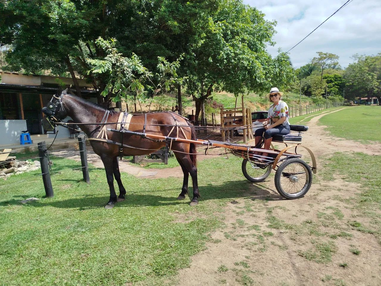 Charrete mais linda do ES
