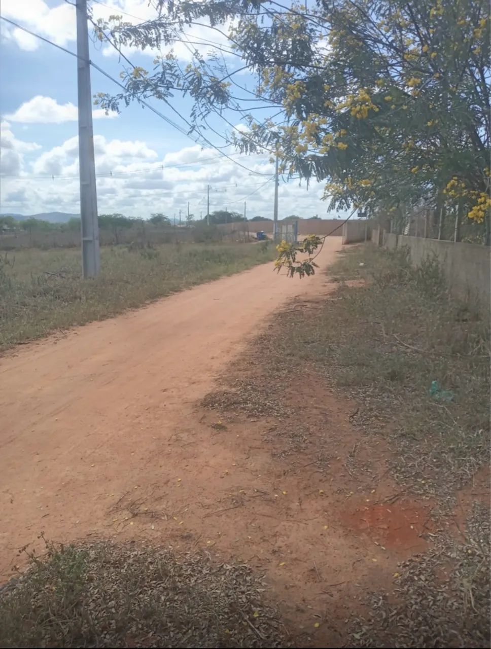 Terreno 40 x 40 rural de riacho das almas  Condomínio fechado - Foto 2