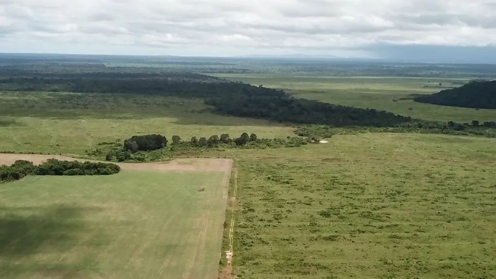 Fazenda a Venda Município Santa Terezinha Mato Grosso.