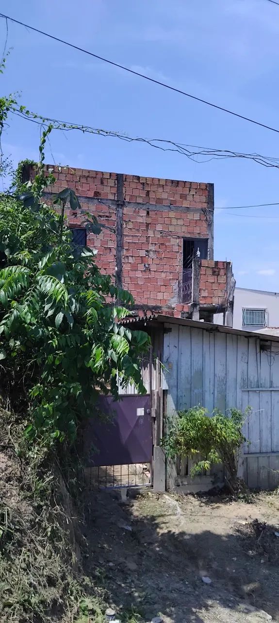 Foto - Manaus - Tarumã-Açu