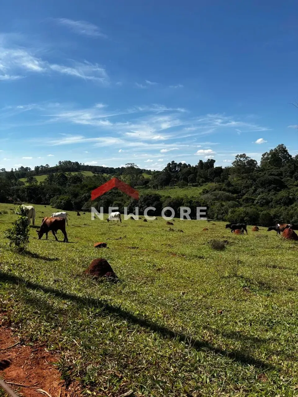 Sítio em Pardinho - Centro - Pardinho/SP