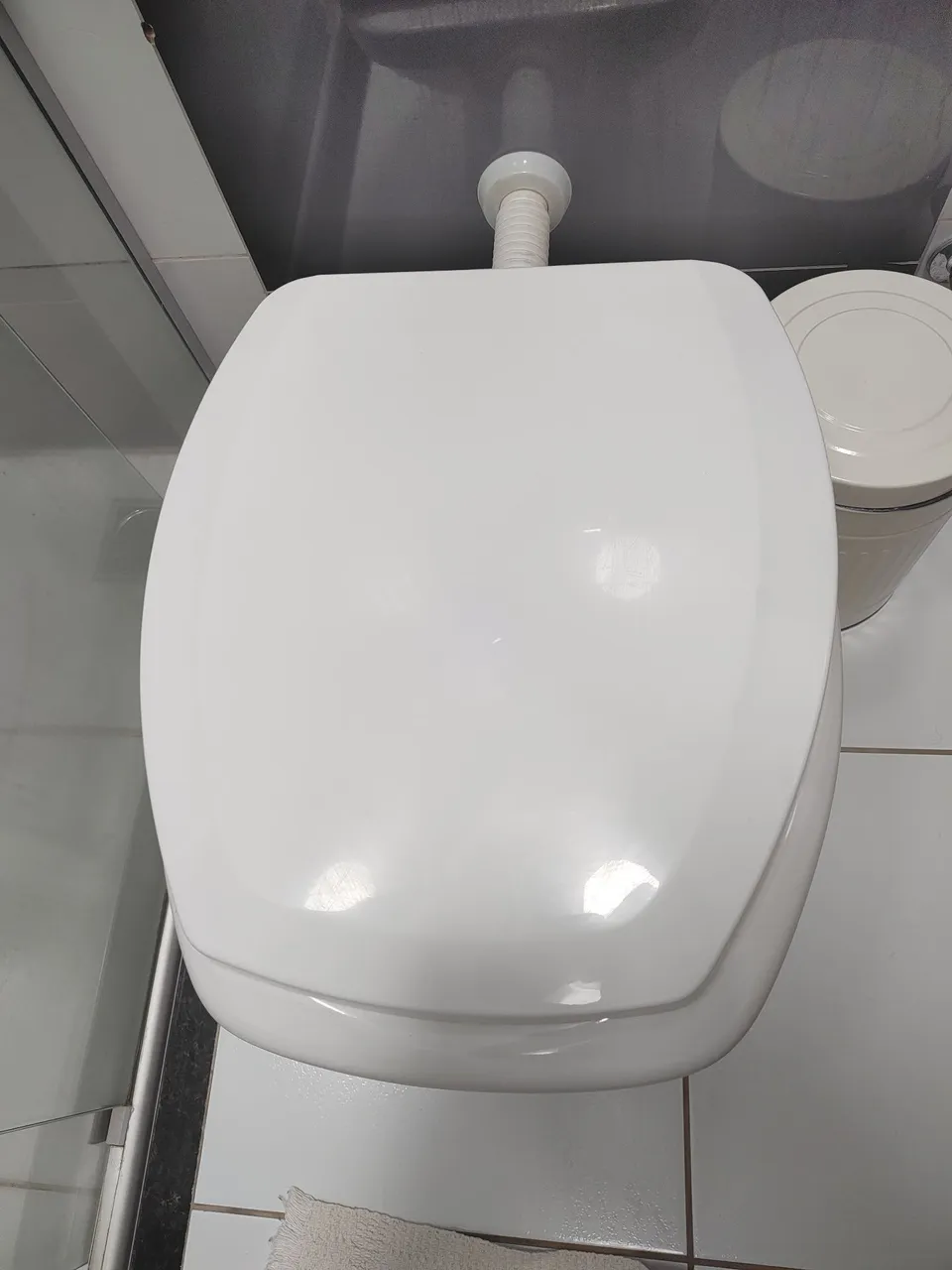 Assento Sanitário Tigre