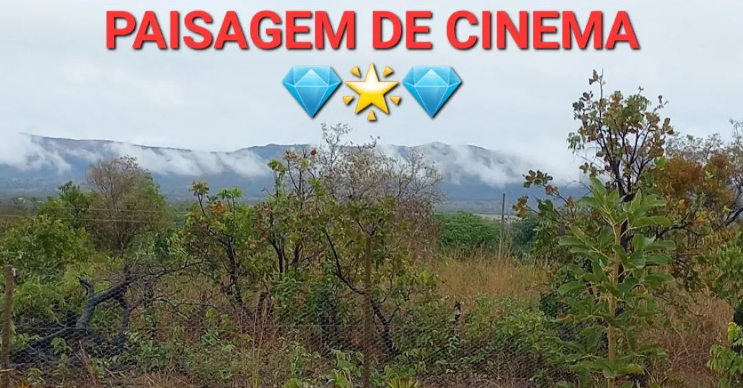 2 HECTARES OU 1 HECTARE