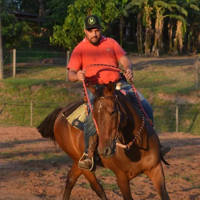 Domador/Treinador/Cavalos - Foto 5