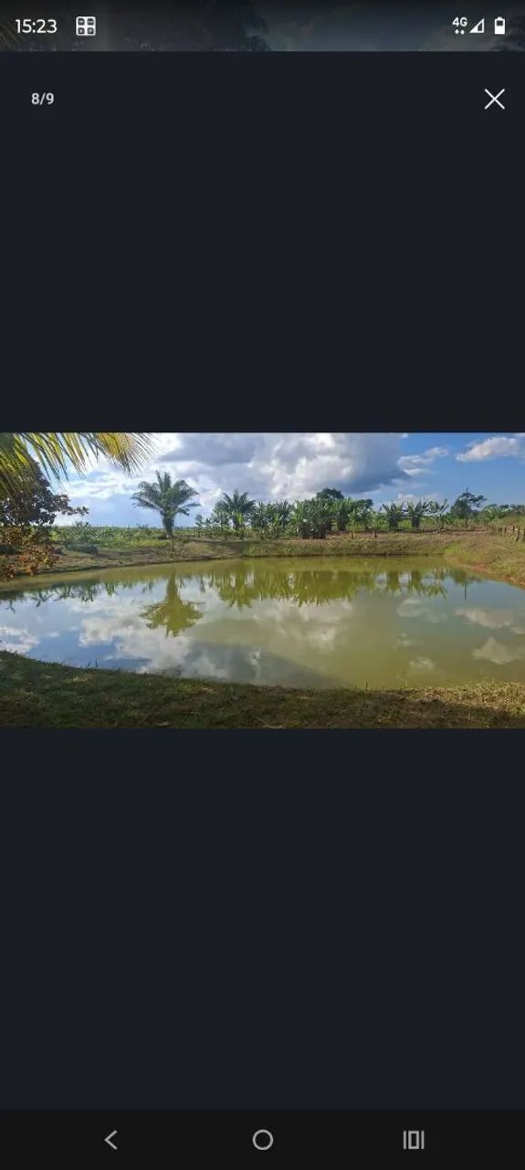 Chácara no ramal são Pedro 34 da transacreana 