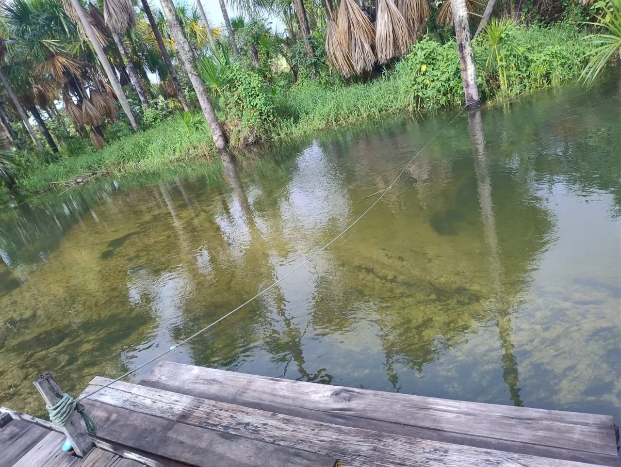 Sítio em Alto Alegre - Vicinal do Au Au - 5.000m² com Igarapé e Internet! - Foto 5