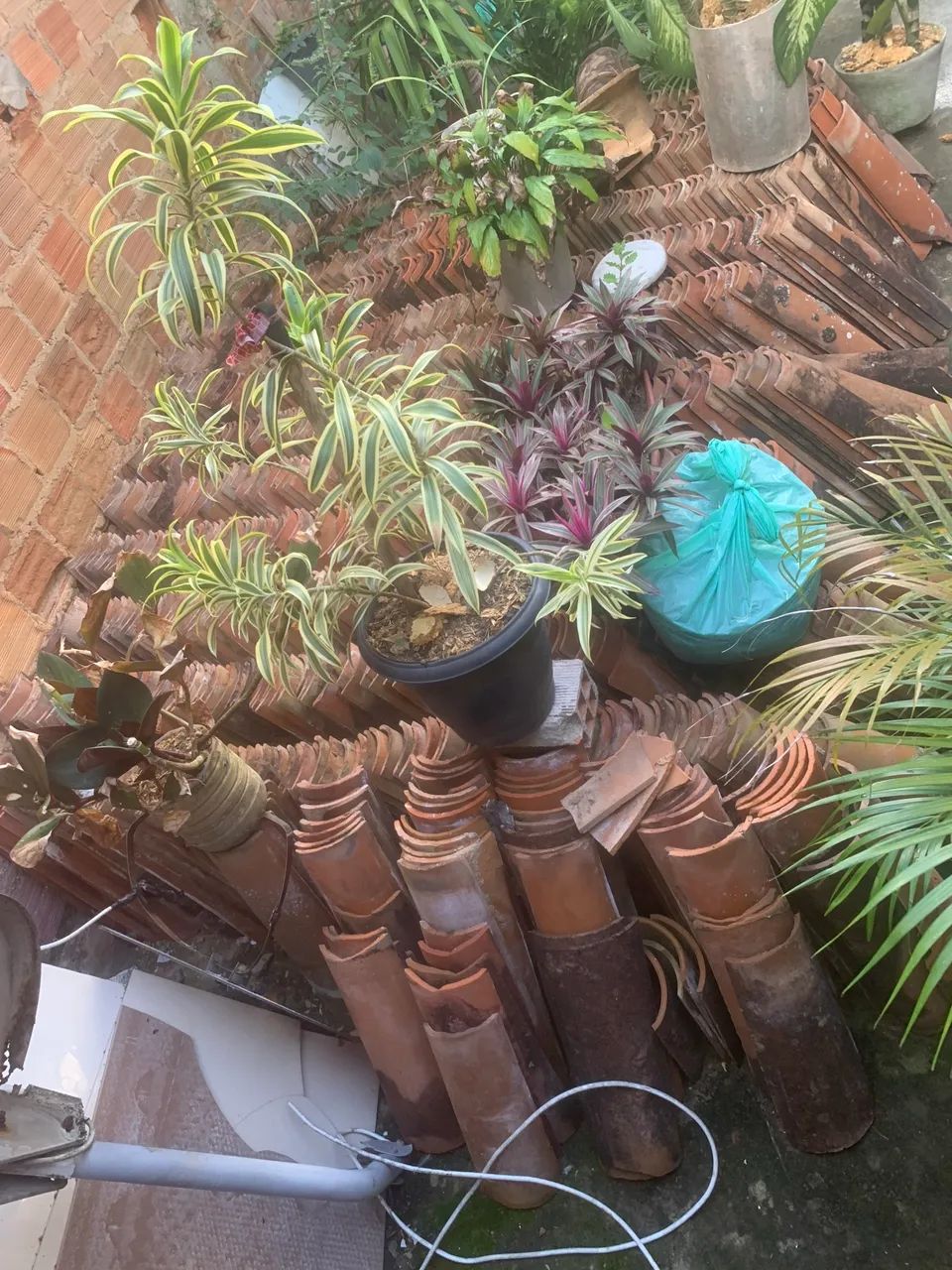 Telhas