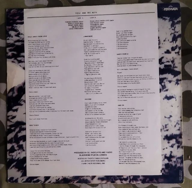 LP Vinil Yazoo You And Me Both Com Encarte (Promo Copy) EX/VG+ - Foto 3