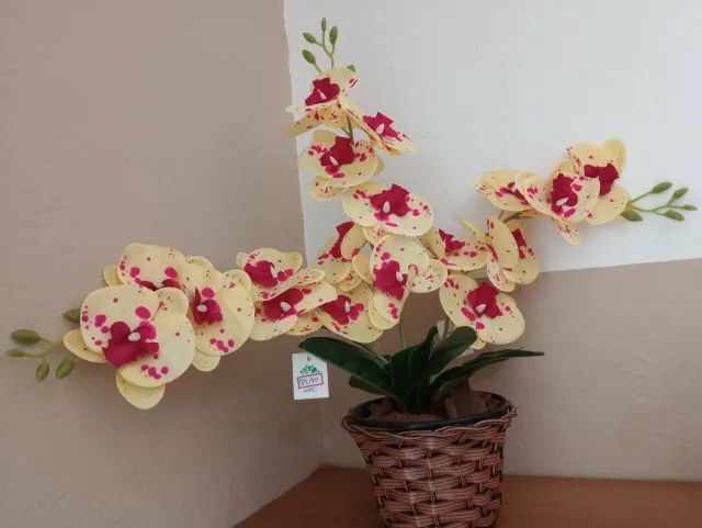 arranjos orquideas - Foto 2