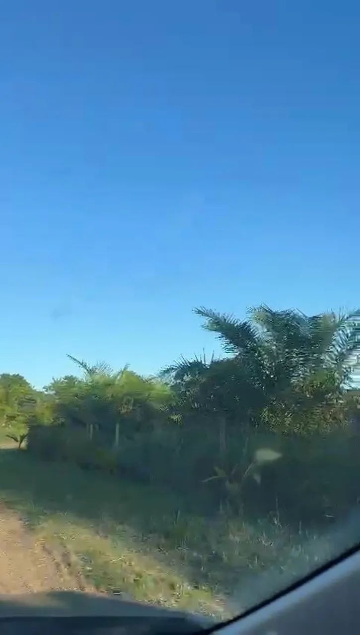 Terreno Praia de Saquaira - Maraú - Foto 5
