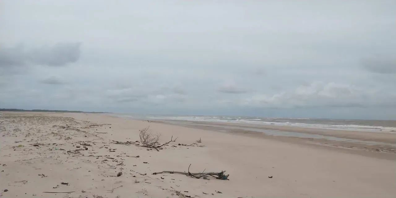 PRIMEIRA CRUZ-MA: Duas ilhas à venda com 360 hectares no Litoral Maranhense - Foto 7