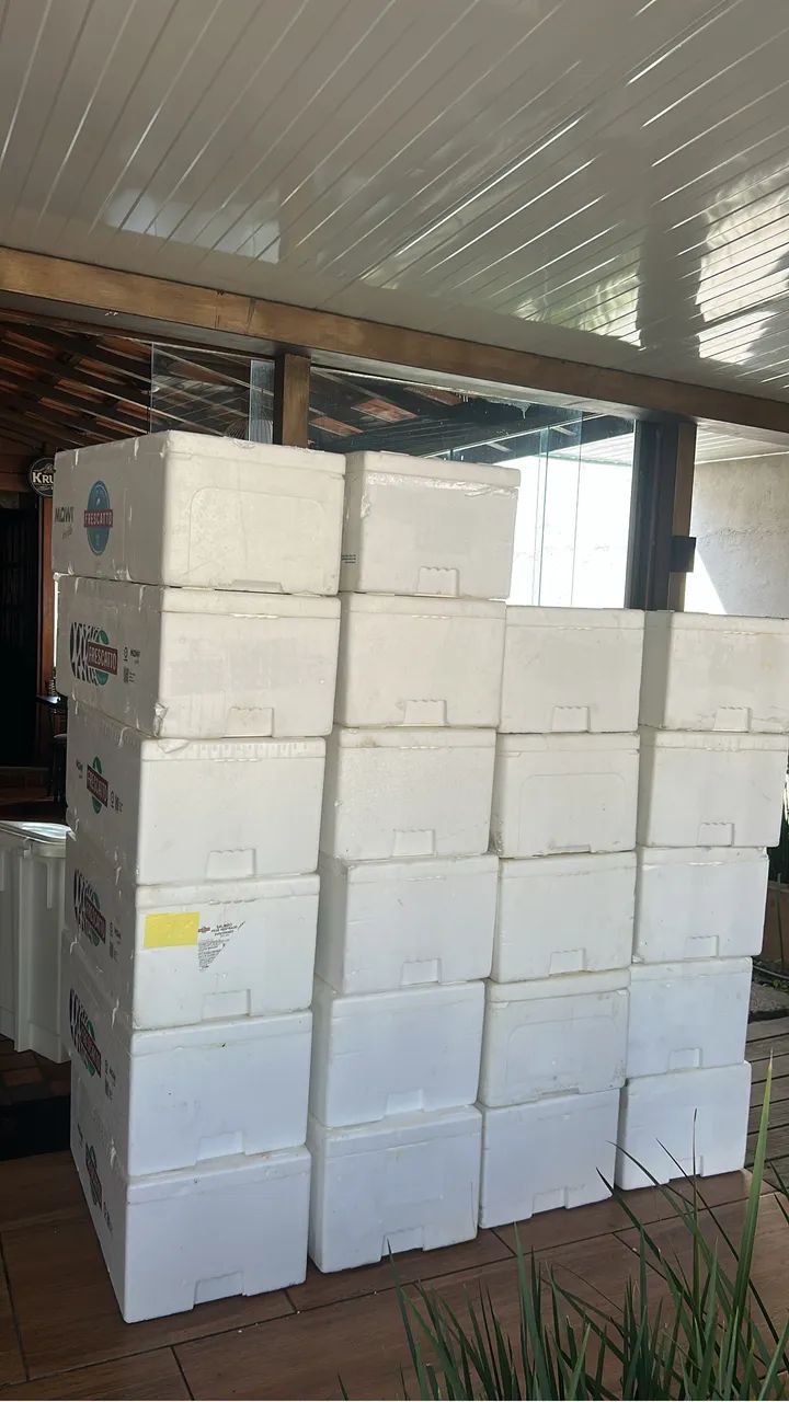 Caixas isopor  - Foto 5