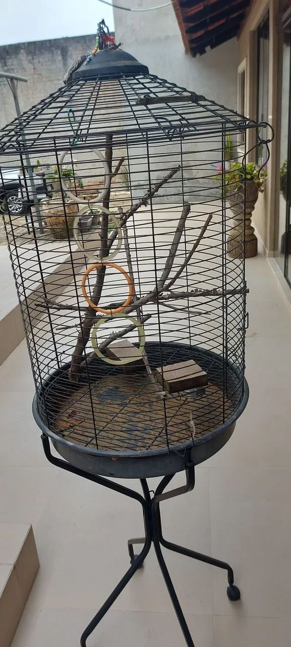 Gaiola  - Foto 2