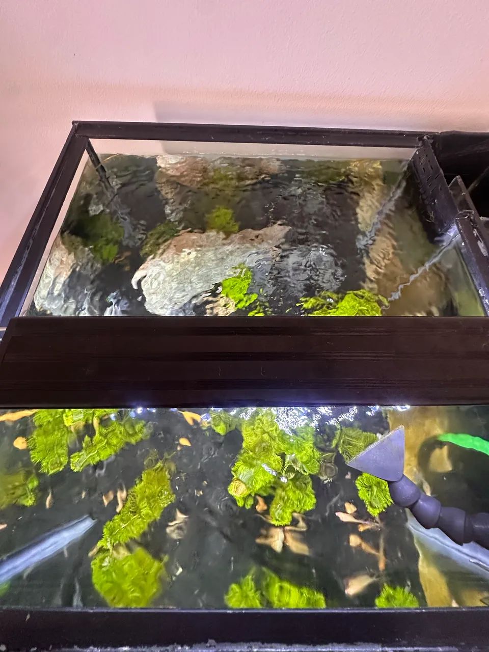 Aquário marinho 150Litros - Foto 5