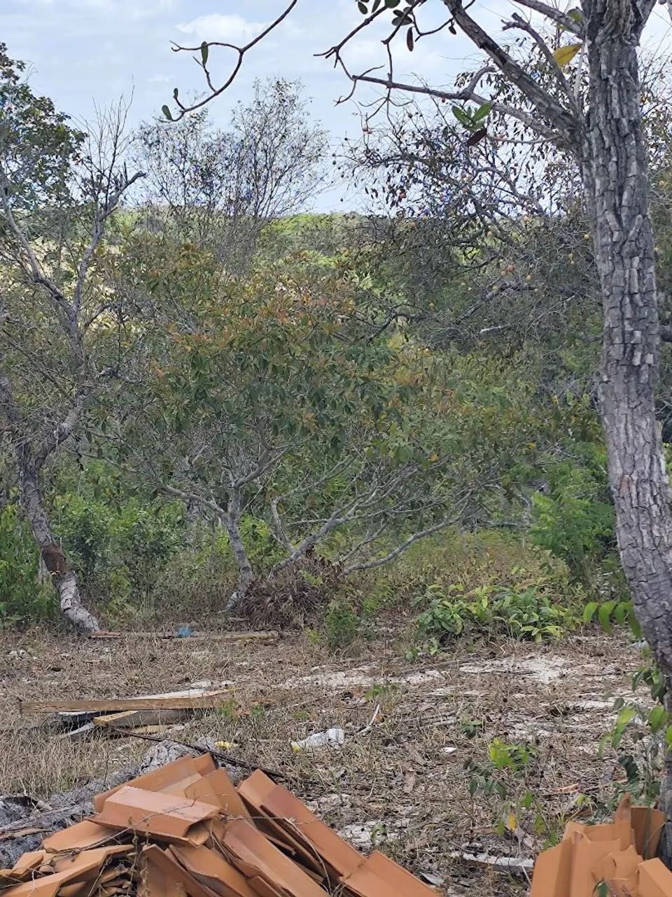 Vendo SÍTIO em MORROS-MA  - Foto 2