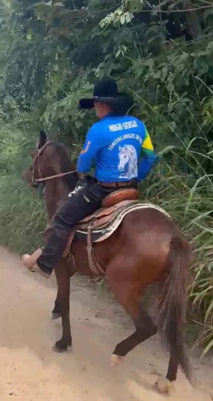 Cavalo  - Foto 3