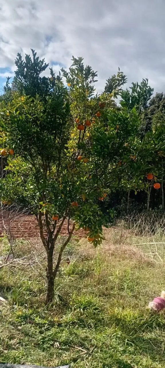Chácara venda em Quitandinha. - Foto 3
