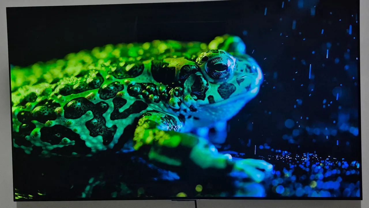 LG OLED C3 55 POLEGADAS