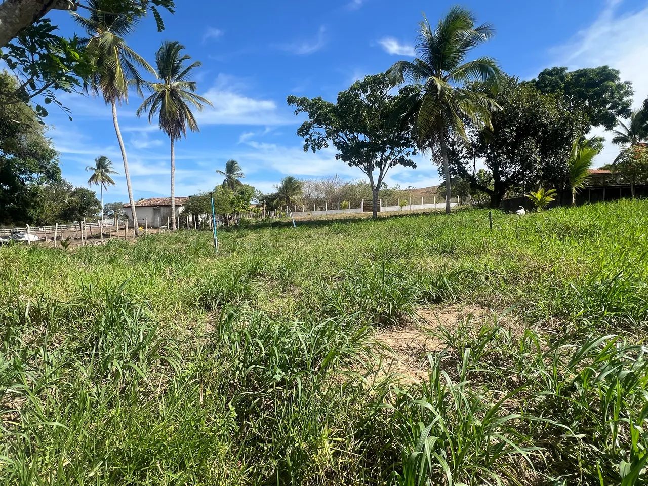 Vendo terreno top  - Foto 4