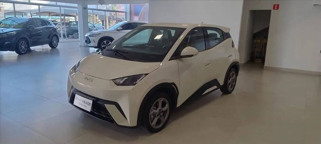 BYD Dolphin Mini (Elétrico) 2025 - Foto 3