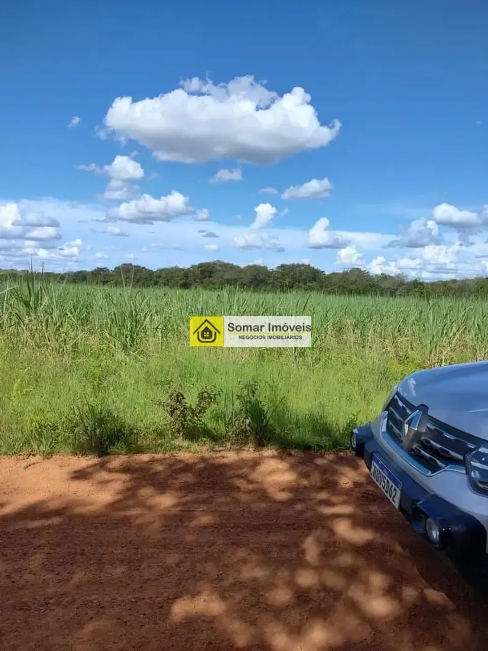 FAZENDA COM 400 HA NA CIDADE DE POMPEU A VENDA - Foto 4