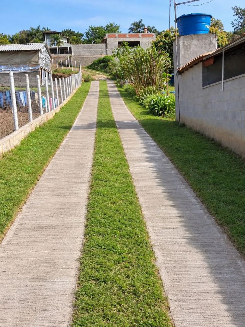 Jardinagem - Foto 2
