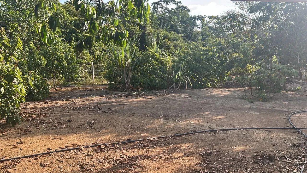 Chácara completa com 17.550m, produtiva e pronta para morar! - Foto 4