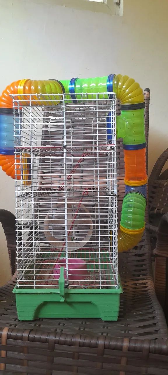 Gaiola para Hamster 415080010817873921