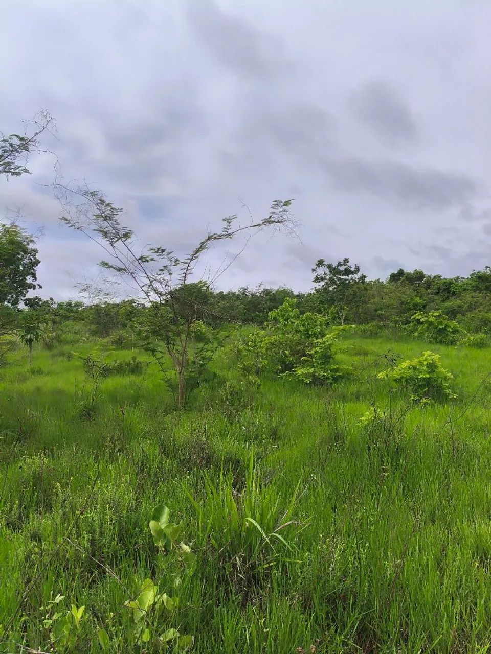 *?SITIO EM CANGAS ? - Foto 4