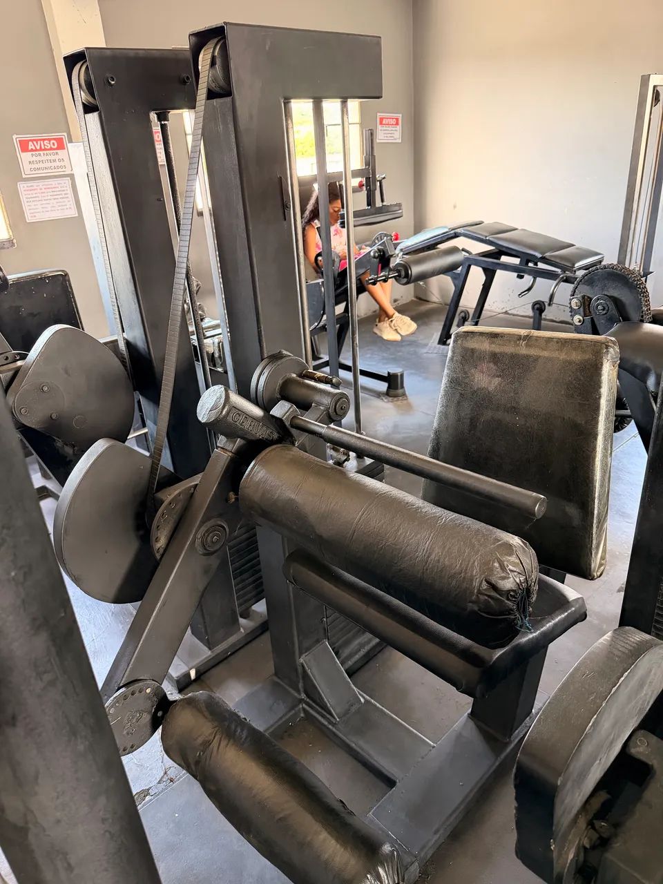 Cadeira flexora GERVA Sport 