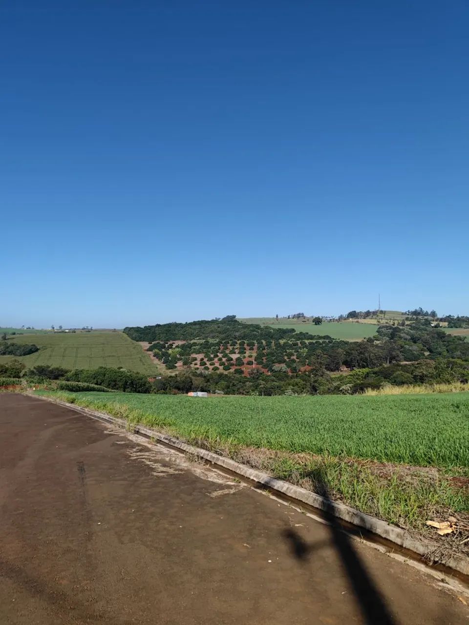 Terreno à Venda - , Califórnia - Foto 2