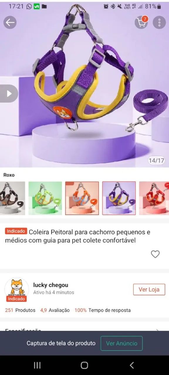 Adoção responsável  - Foto 3