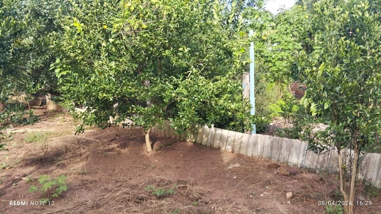 Vendo uma fazenda  - Foto 5