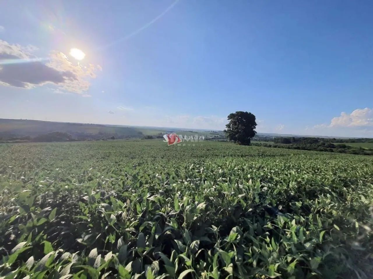 Chácara à venda em Maringá, Jardim Alvorada, com 217800 m² - Foto 5