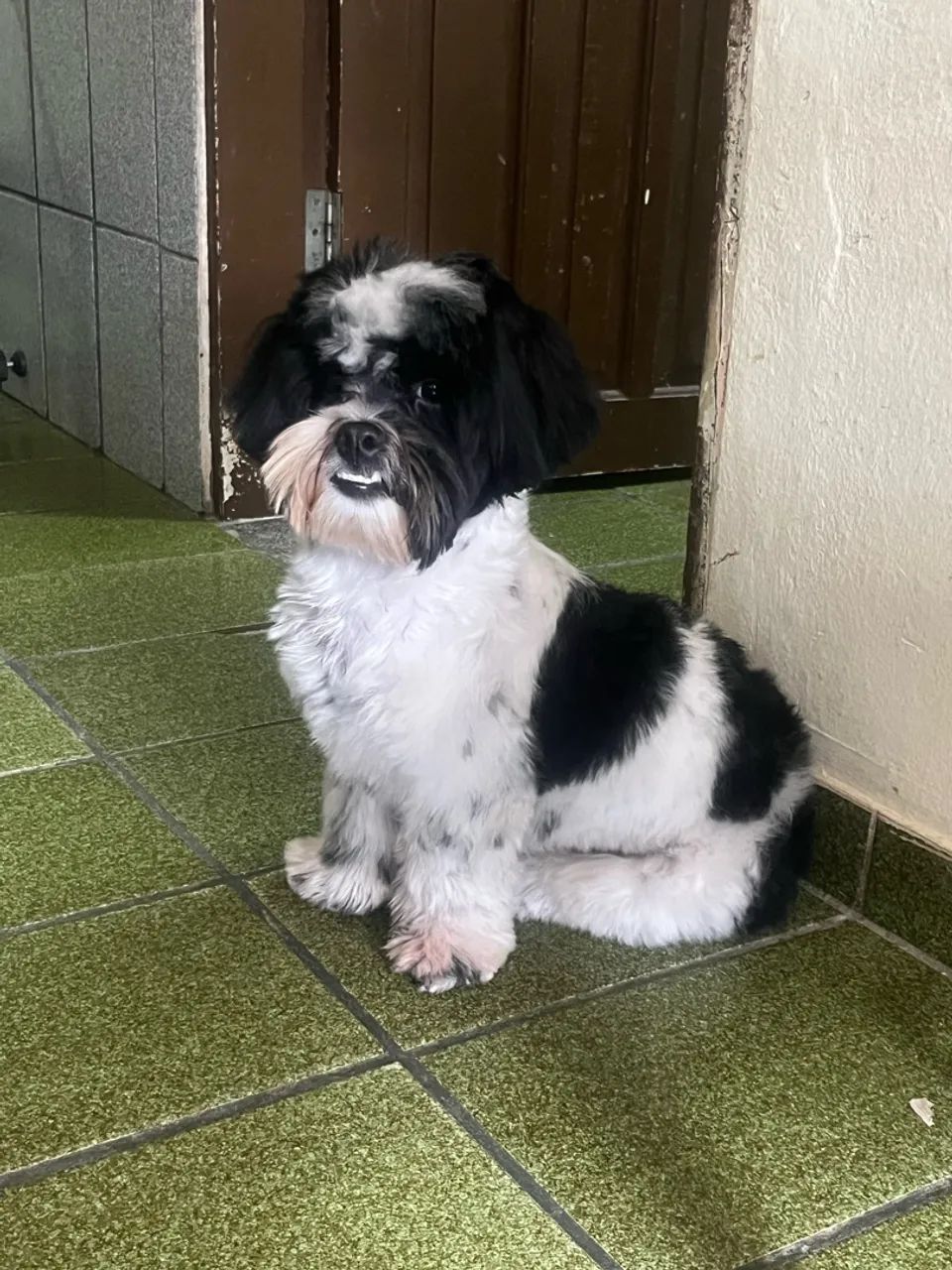Vendo  - Foto 2