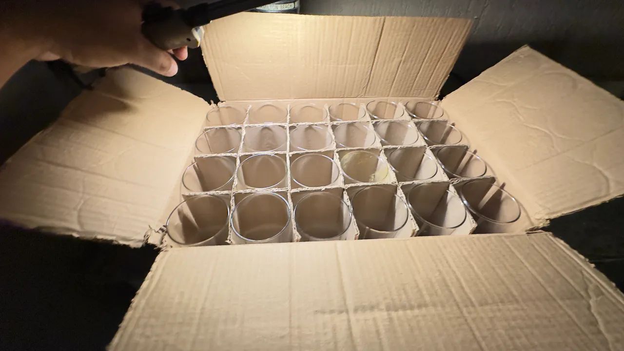 Tulipas 300ml - Foto 3