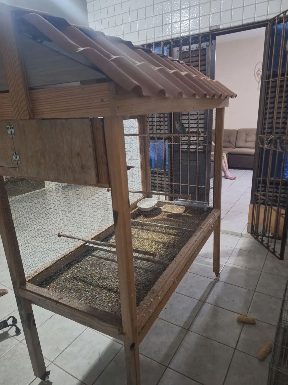 Viveiro com pássaros para vender, bom e parato  - Foto 2