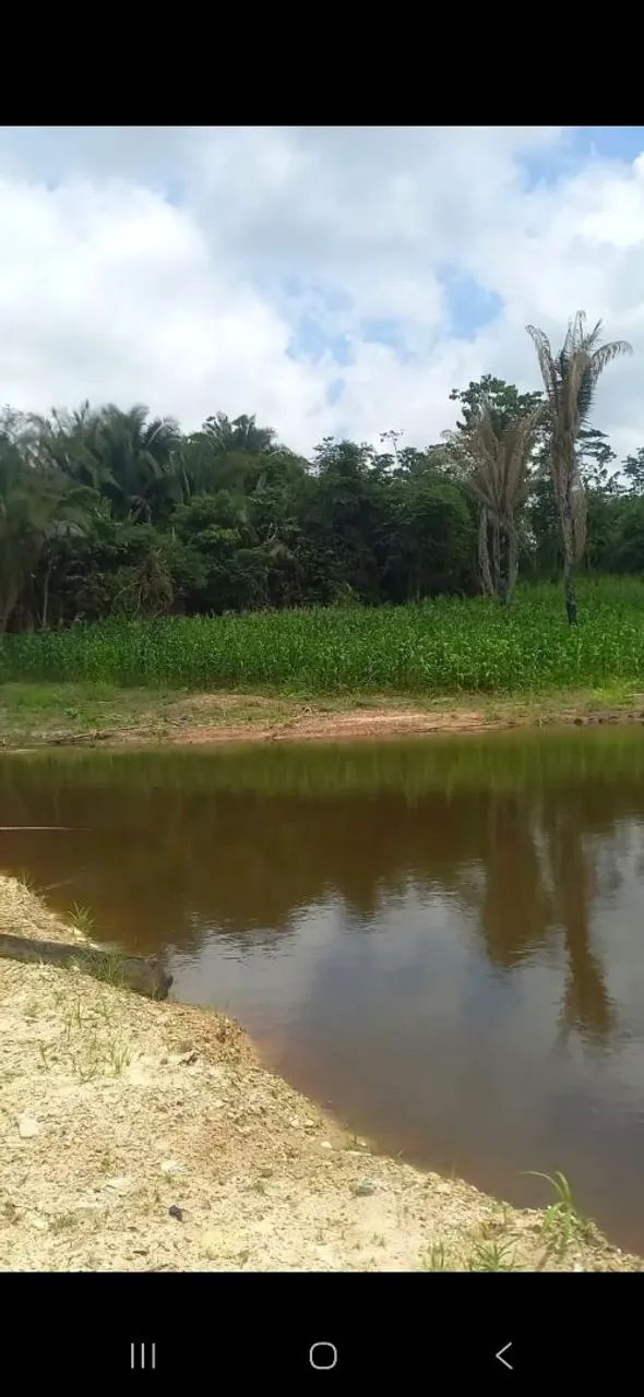 Vende-se está chácara preço oportunidade 