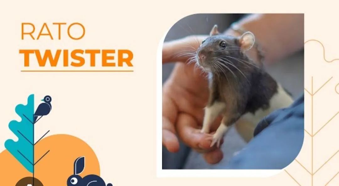 Rato Twister 