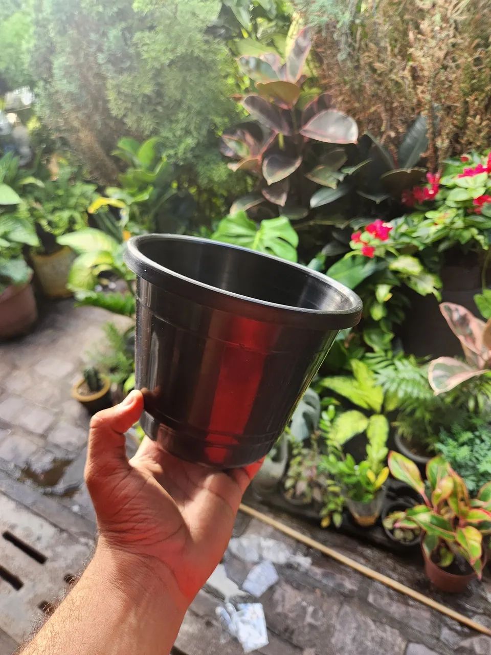 Caqueiros de Planta - Foto 3