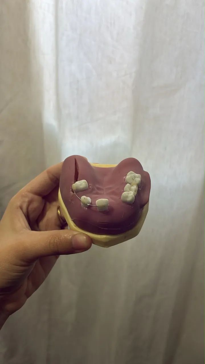 Manequins odontológicos  - Foto 3