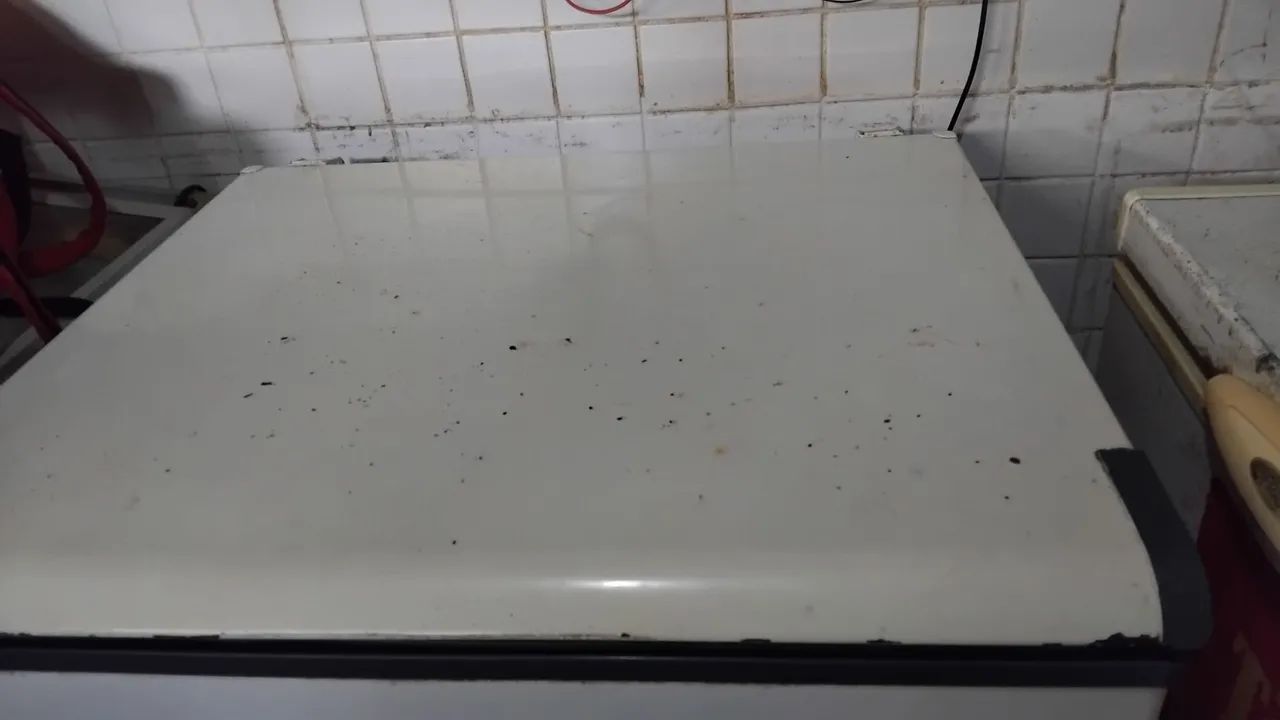 Vendo uma frizer  Esmaltec 