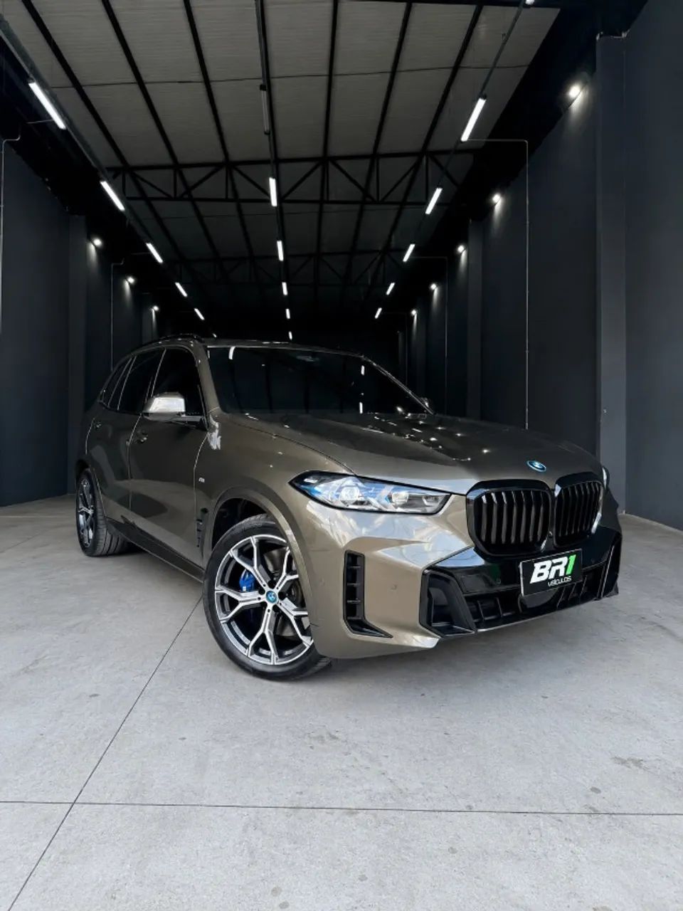 BMW X5 Xdrive 50E 3.0 M Sport Aut. (hibrido) 2024
